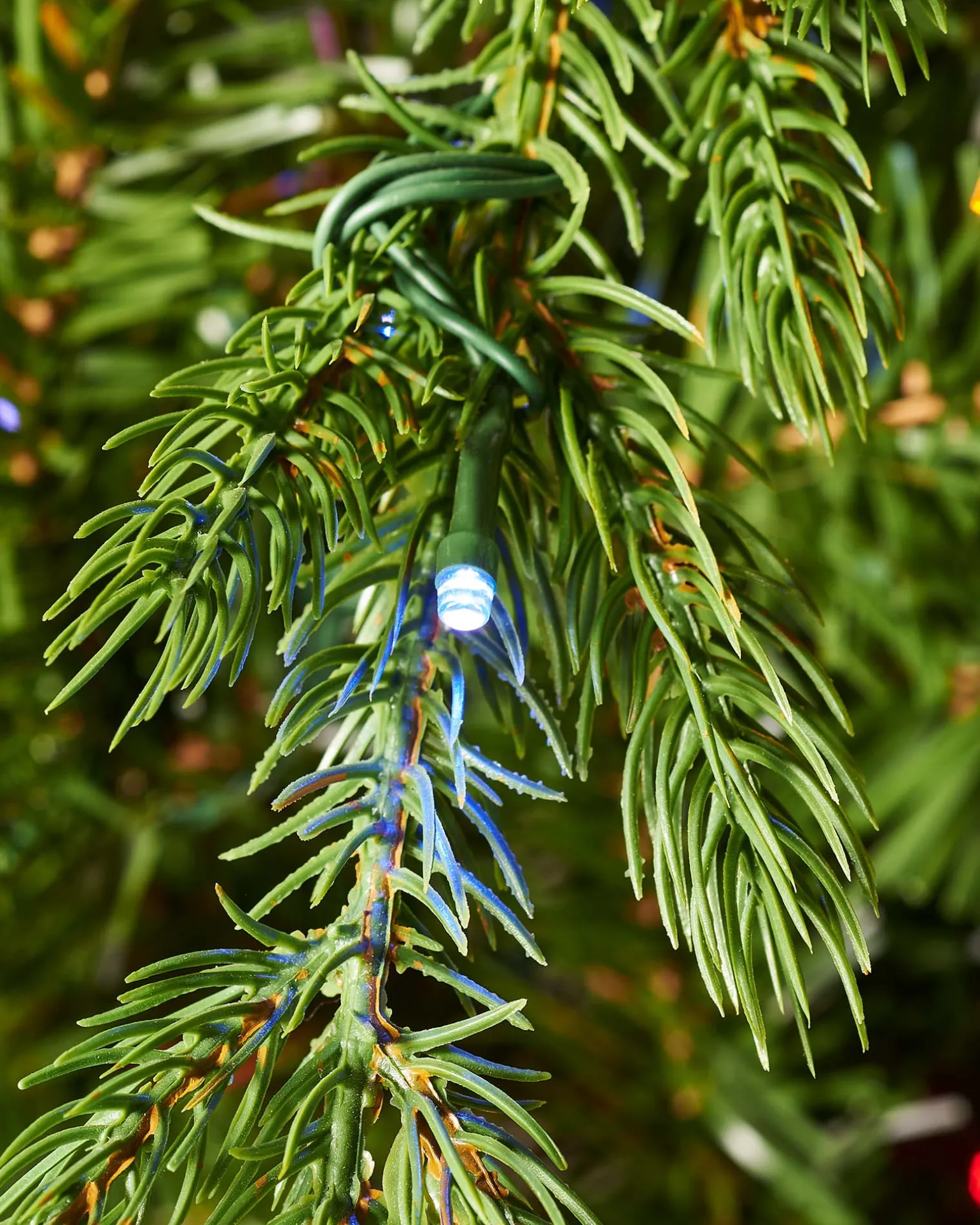 Pre-Lit Windsor Fir Christmas Tree, Dual Warm White, 8 Ft