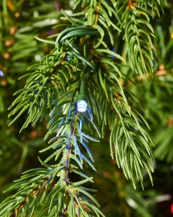 Pre-Lit Windsor Fir Christmas Tree, Dual Warm White, 8 Ft